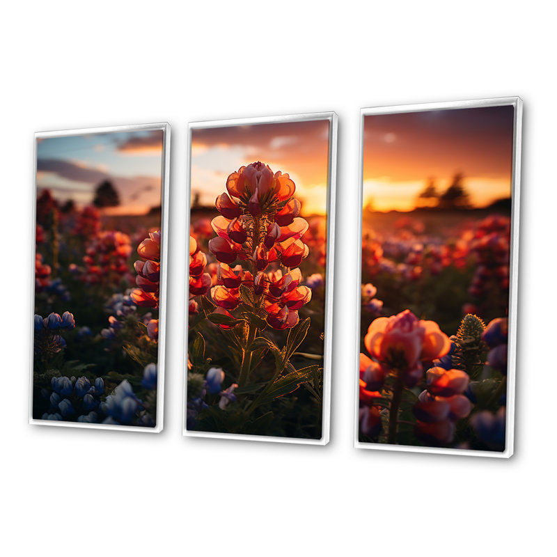 «Red Bonnets Field with Orange Sunset - Blue Bonnets», ensemble d'art mural, H 40 po x l 60 po x P 1 po, Cadre flottant blanc