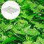 Ivy Balcony Privacy Fence Panel-1820369084-1820369082