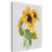 Deagen 'Botanicals 10' Print on Wrapped Canvas-30363729