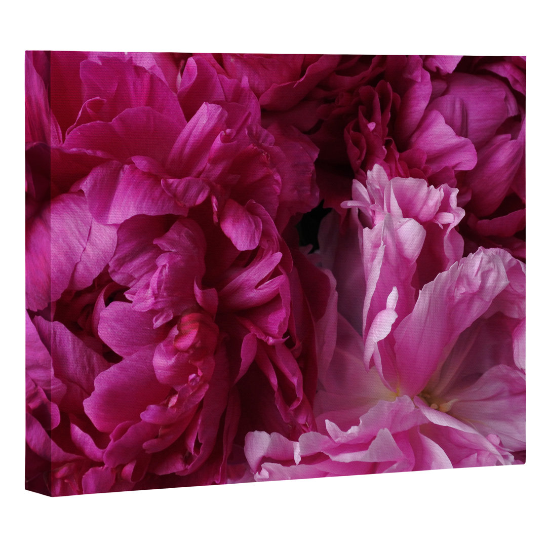 " Glamour Pink Peonies " by Lisa Argyropoulos East Urban Home 