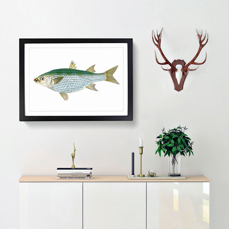 Mullet Fish by Edward Donovan - Picture Frame Painting Print, Black Framed, 36cm H x 48cm W x 2cm D