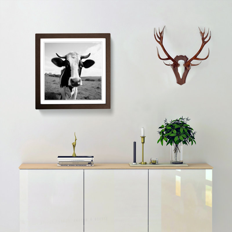Cow Photograph - Framed Print, Walnut