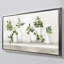 "Plant Life" by Julia Purinton Print on Canvas in a  Floater Frame-110965498-110965501