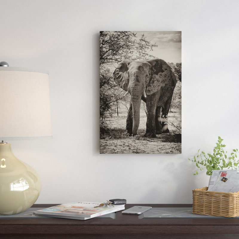 «Awesome South America Series», reproduction de photo verticale sur toile tendue, H 32 po x l 24 po x P 1 po, Blanc