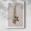 Monochrome Botanical III -Gallery Wrapped Cavas-108843293
