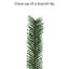 72 plantes