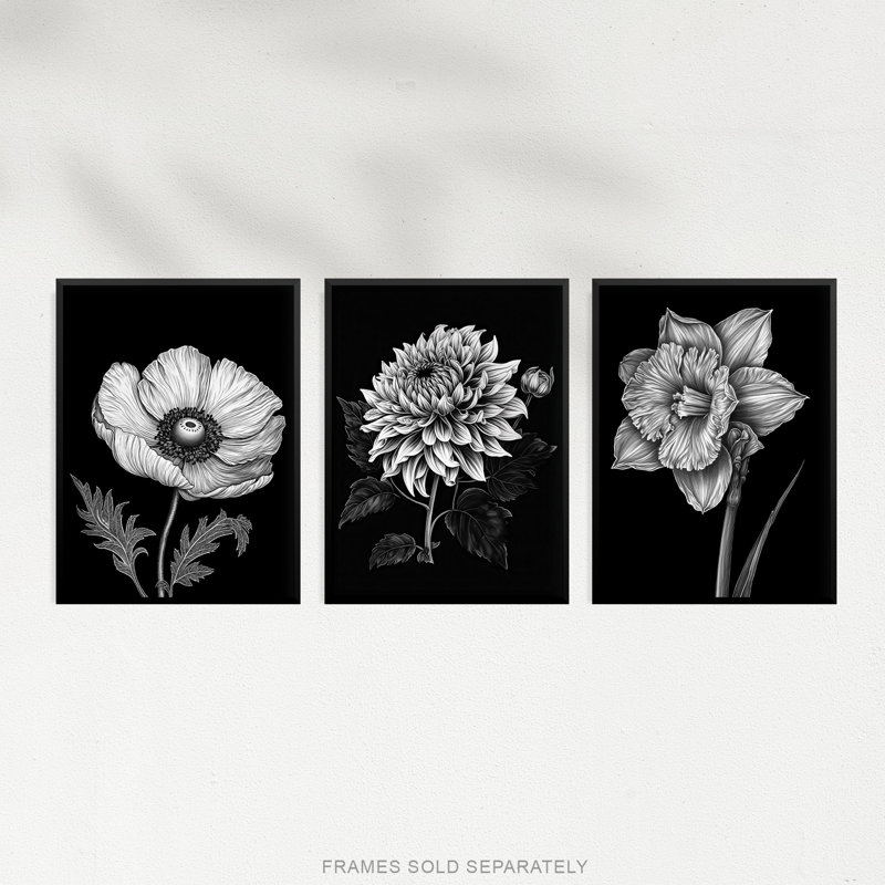 Elegant Single Chrysanthemum Poppy Daffodil Spring Flower - 3 Piece No Frame Print Set, 29.7cm H x 21cm W x 0.4cm D