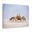 Art mural majestueux crabe-122246955