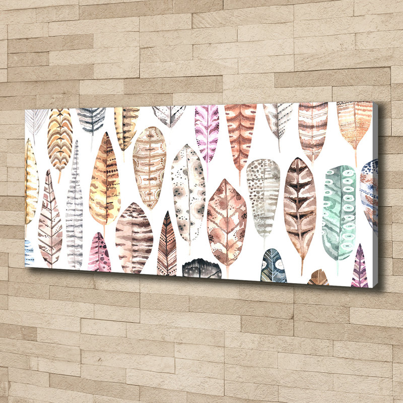 Colourful Feathers - Wrapped Canvas Print