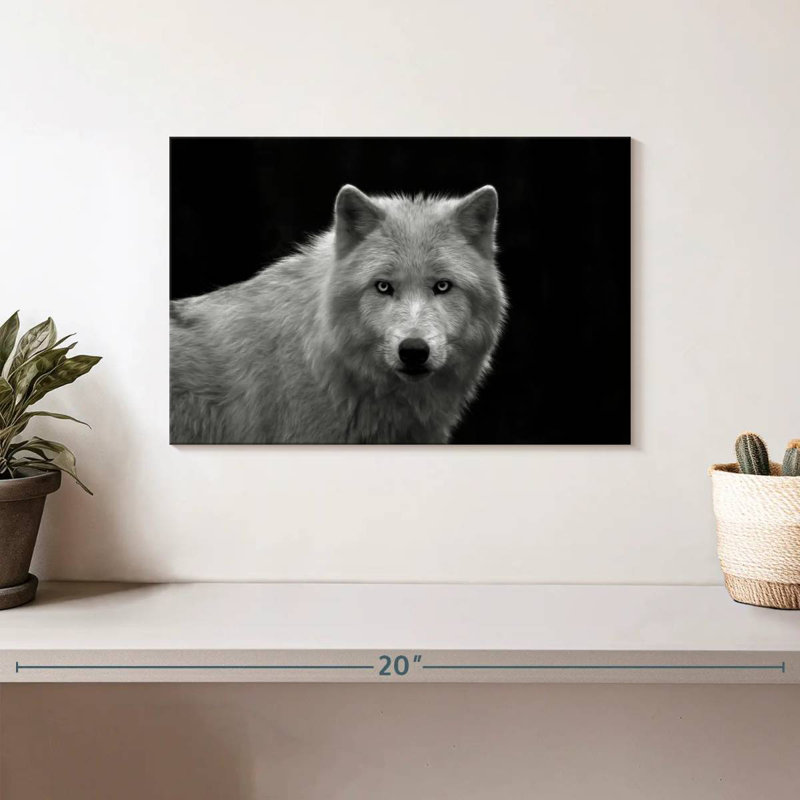 Brampt Phantom Wolf, 8'' H X 12'' W
