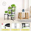 Plant Stand
