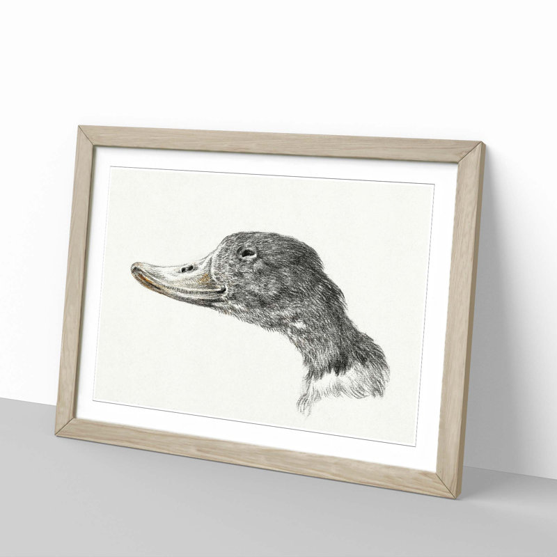 Head of a Duck by Jean Bernard - Framed Print, 36cm H x 48cm W x 2cm D, Oak Framed