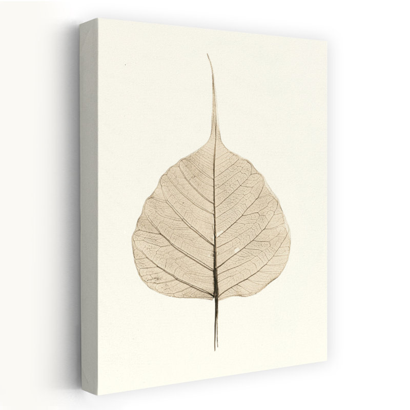 Inde, ficus, art floral, nature morte, feuilles botaniques, H 24 po x l 16 po