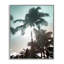 «Shady Palm Trees», art de la giclée encadrée par Noah Bay-950185029-950185035