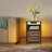 Kohaku 23” 2-Drawer End Table with USB Port and Touch Control, Nightstand with LED Light