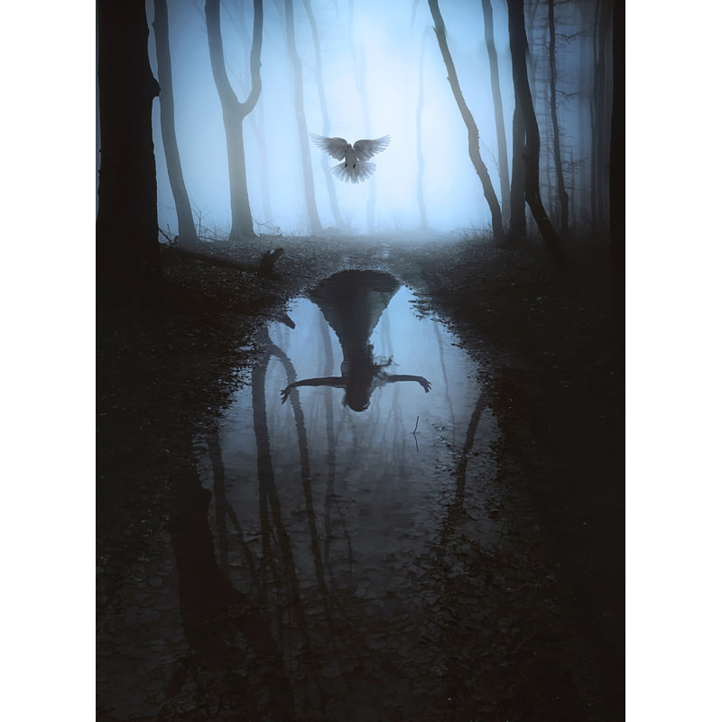 Wrapped Canvas Print, 76.2 cm H x 50.8 cm W