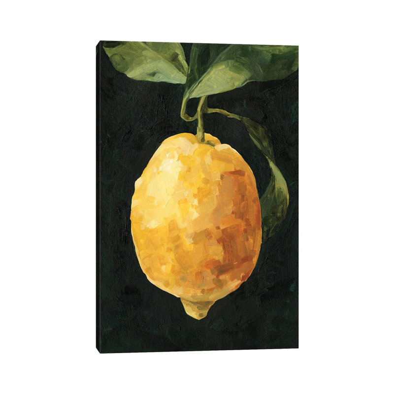 Dark Lemon I by Emma Caroline - Wrapped Canvas Print, 20.32 cm H x 30.48 cm W