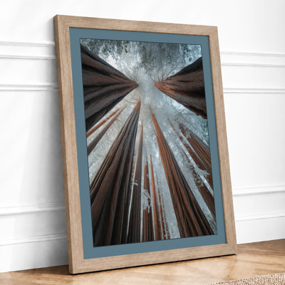 Towering Forest Canopy Scandinavian - Print
