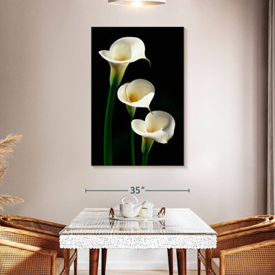 Harnek Three White Calla Lilies