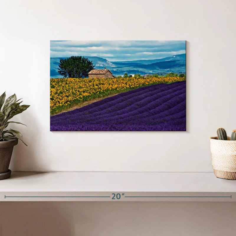Vanna Valensole Lavender And Sunflowers