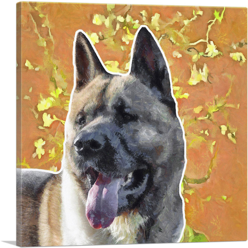 Reproduction d'art sur toile Akita, H 36 po x l 36 po x P 0,75 po