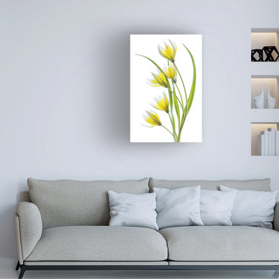 Mandy Disher Tulipa, art sur toile