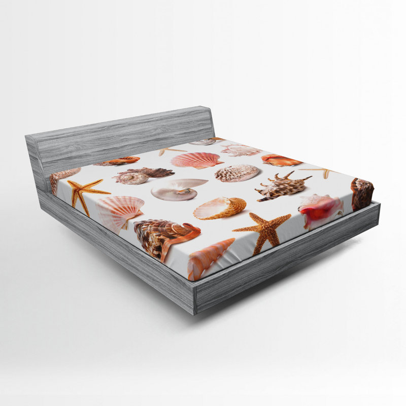 Drap-housse coquillage, Drap-housse grand