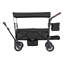 Poussette Wagon pour 2 enfants, poussette pliable à tirer avec poignée réglable, auvent amovible pour harnais, 4 roues avec freins, poussette tandem multifonctionnelle pour le camping - noir