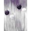 Fleurs mauves allium - Toile encadrée, décoration intérieure-812539180