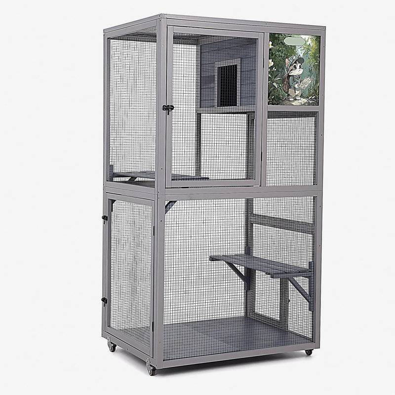 Enceinte d'extérieur pour chat Catio