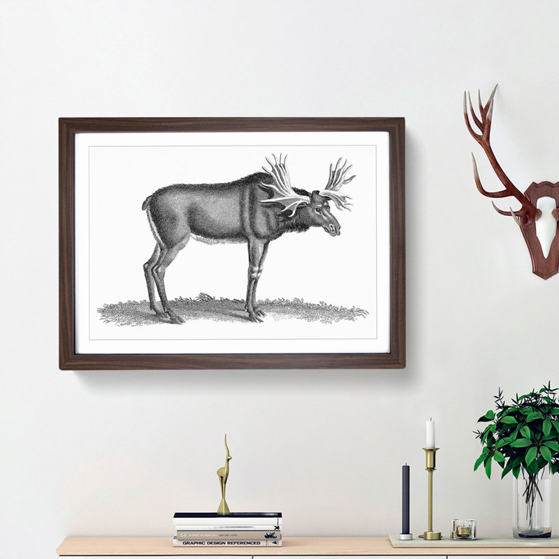 An Elk In Black And White by George Shaw - Single Picture Frame Print, 24cm H x 33cm W x 2cm D, Walnut Framed