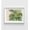 Photographie de plante tropicale, art mural de pavillon rustique botanique, affiche de décoration murale feuille tropicale