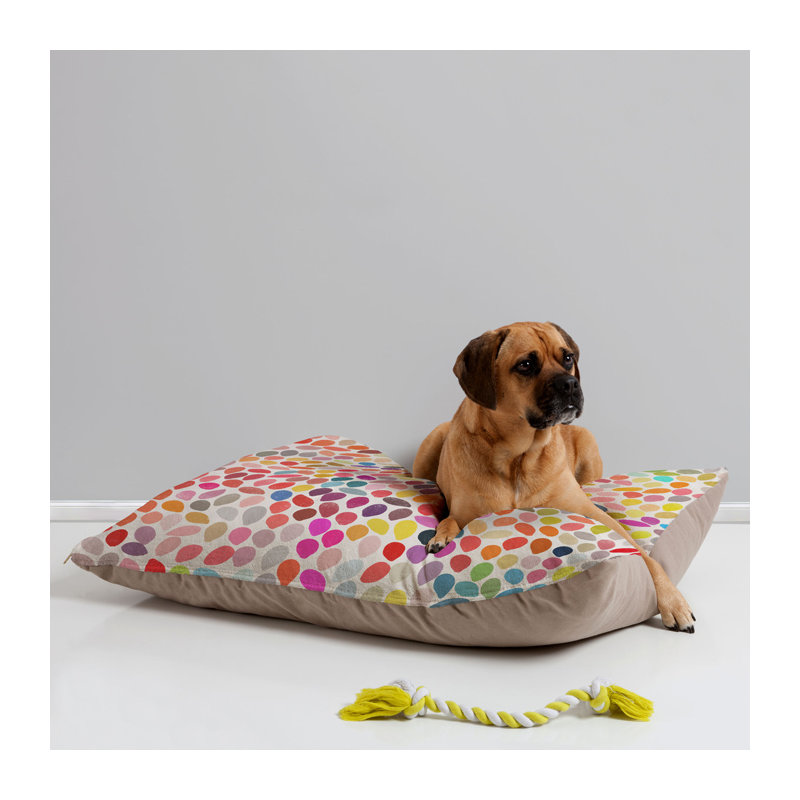 Coussin pluie pour chien