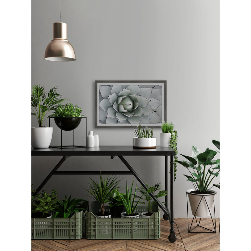 Succulent Outline - Single Picture Frame Painting, 38 cm H x 45 cm W