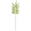 42.5-Inch Tree Fern Stem