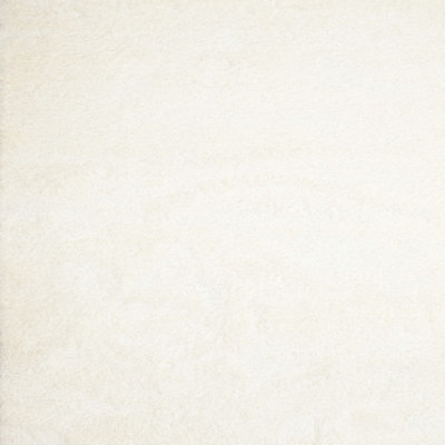 Rawe Indoor Rug