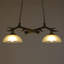 Lustre 2 lumières Antler