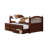 Mcginnis Daybed with Trundle