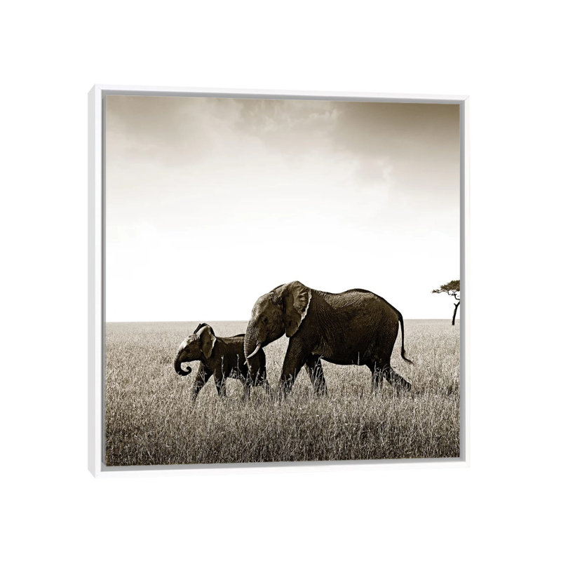 Bonded Elephant by Klaus Tiedge - Print on Canvas, White Framed, 66.04 cm H x 66.04 cm W