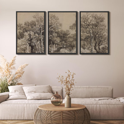 Vintage Sketch Forest Tree Illustrations Moody Decor Chic Wall Art Frame 3 Pieces Canvas Print