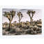 «Joshua Tree Views IX», impression sur toile-29284722-74743171-74743177