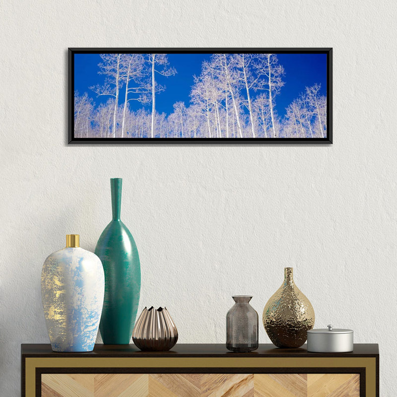 « forest, utah », reproduction de photo sur toile, H 20 po x l 60 po x P 1,5 po, Toile avec cadre noir