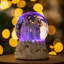 Christmas Snow Globe