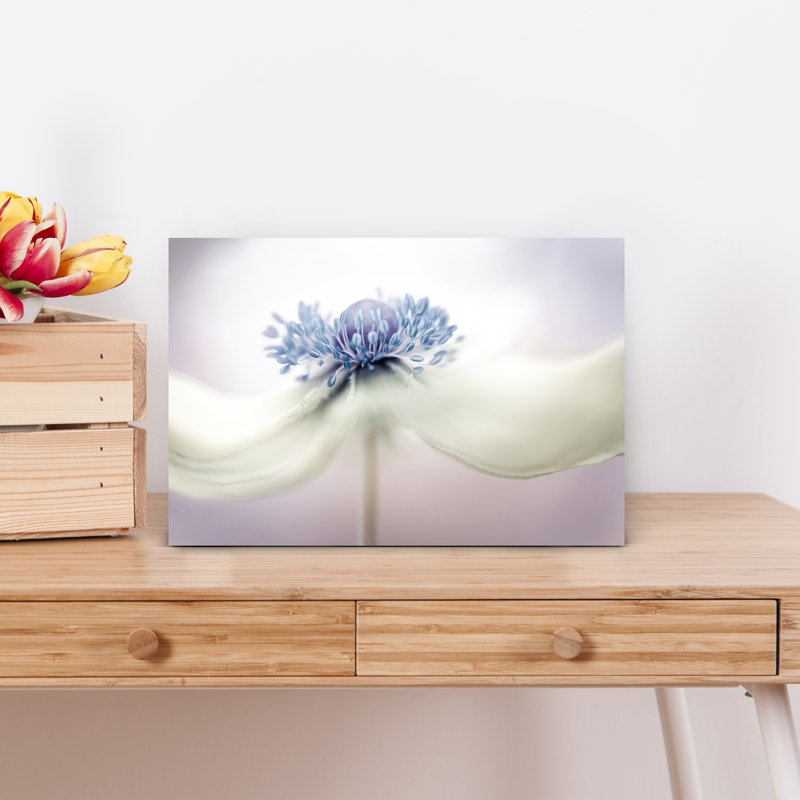 «A N E M O N» «Delicate Dreamy Elegant Flower», art mural, H 12 po x l 18 po