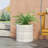 Durable and Stylish Planter for Enhancing Garden Aesthetics-593590874