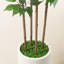 Anietra 180cm Faux Tree in Planter