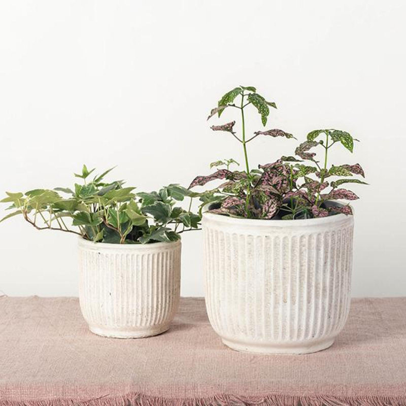 Jardinières rugueuses à lignes verticales rugueuses et gris délavé