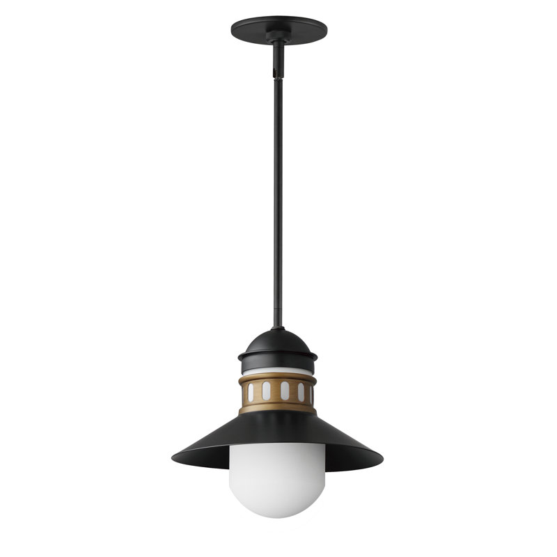 Parimal Outdoor Pendant, Black/Antique Brass