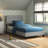 Antrone Upholstered Platform Bed-399511999