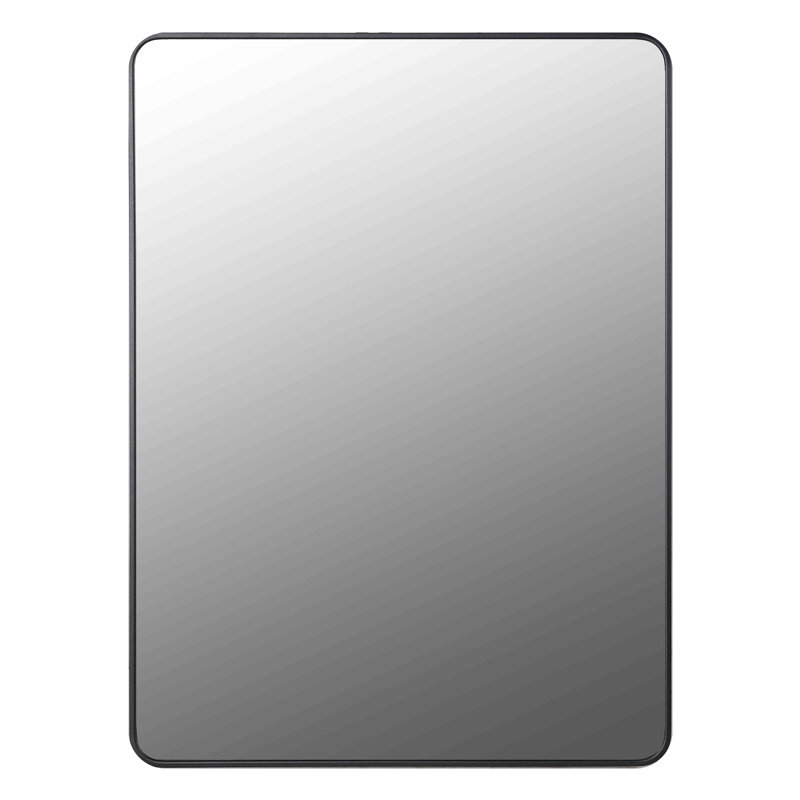 Arilynn Metal Flat Wall Mirror, Black